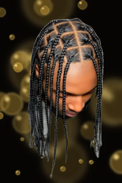 PLAIT BRAIDS by CK Braids Studio